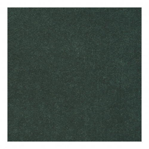 Fabric Sample - Forest Green Velvet for ANGIE, GABRIEL and LÉONORE lines